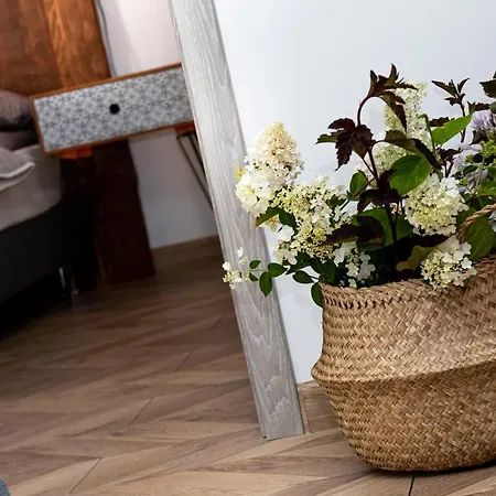 Apartment Inside - Centrum Bielsko-Biala